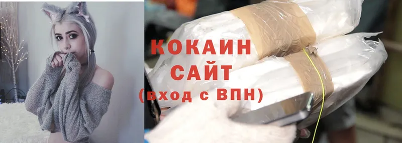 Cocaine 99%  купить закладку  Вытегра 