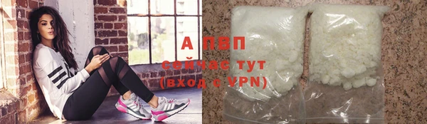 спиды Магас