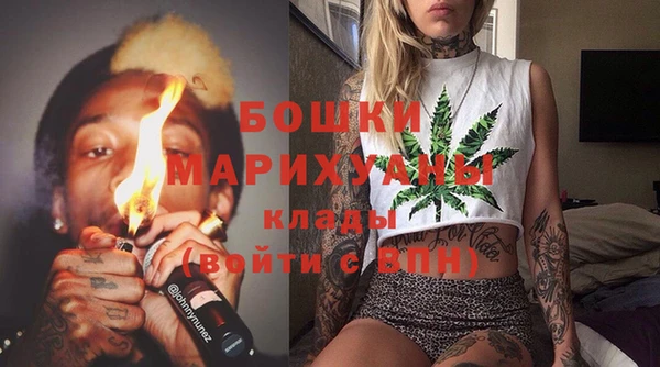 прущие грибы Майский