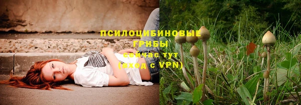 спиды Магас