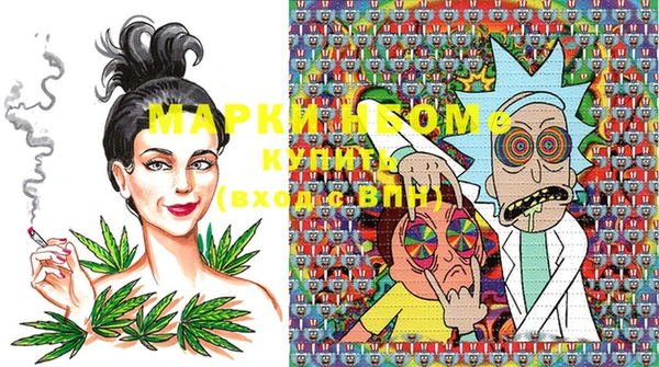 прущие грибы Майский