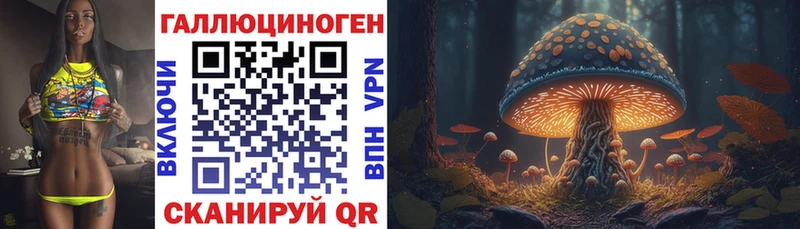 Галлюциногенные грибы MAGIC MUSHROOMS  цена   Вытегра 